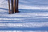 Snow Shadows_13370